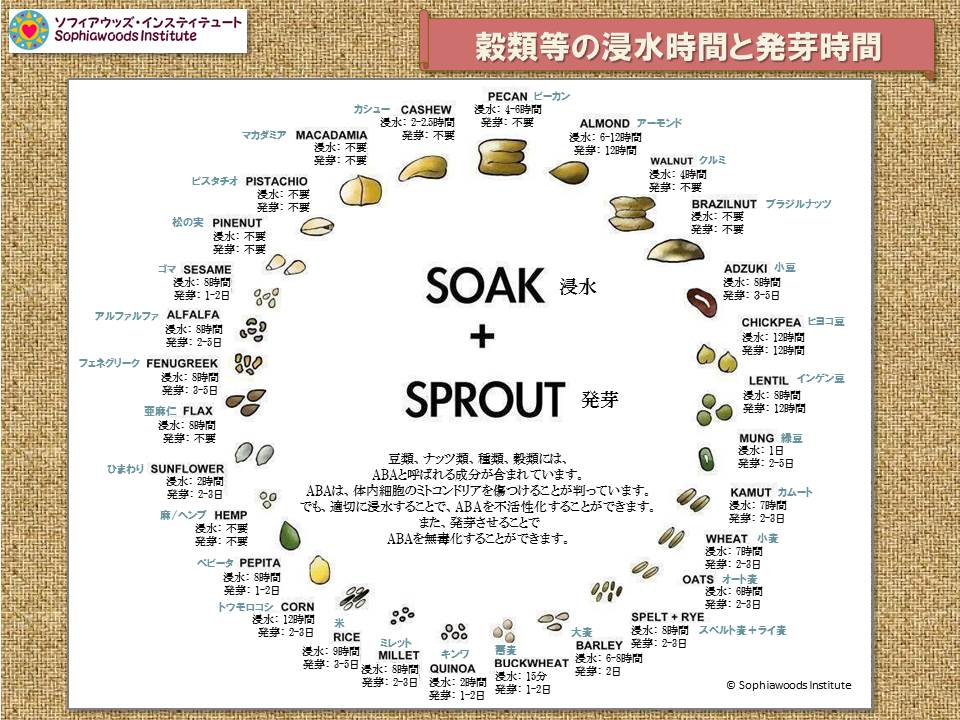 フィチン酸って本当に悪者なの？ | 食で心と体をつなぐ - ホリスティック・ヘルスコーチング の ソフィアウッズ・インスティテュート