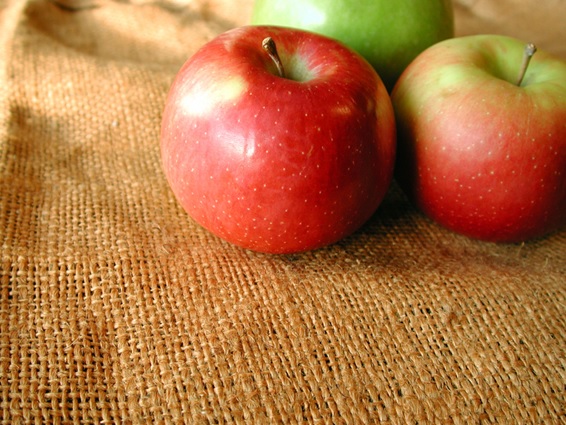 「１日１個のリンゴは医者いらず」は科学的に本当｜でもリンゴは皮ごと食べなきゃダメ