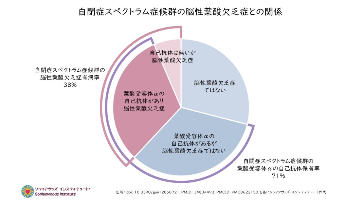 葉酸と自閉症 | ソフィアウッズ・インスティテュート公式ブログ