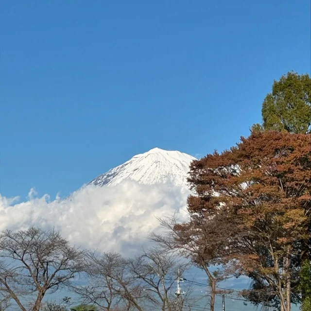 やっとで白くなった富士山
・
・
バイオ個性で食べて、心と体をつなぎ、健康と幸せを手に入れるホリスティックな食事法をコーチングする、ソフィアウッズ・インスティテュート代表　公認統合食養ヘルスコーチ（CINHC）、公認国際ヘルスコーチ（CIHC）の森ちせです。
・
・
やっとで冬らしくなった富士山
・
・
*******************************
あなたも統合食養学を学びませんか？
ヘルスコーチと話をしてみませんか？
*******************************
・
・
💕【セルフドクターコース】
・
セルフドクターコースは、
食で心と体をつなぎ、ご自分の主治医（セルフドクター）
になる方法を12のテーマに沿って学ぶコースです
・
新学期は毎年３月と９月
・
コースの詳細はこちらをご覧ください。
https://www.sophiawoodsinstitute.com/mindbodymedicine/selfdoctor/
・
💕【プライベート・ヘルスコーチング・プログラム】
・
なりたいあなたをイメージしてください
悩みや疑問が解決したなりたいあなたはどんな人でしょう
・
統合食養学のヘルスコーチングは
あなたのなりたいイメージから始まります
・
詳しくはこちらからご確認ください。
https://www.sophiawoodsinstitute.com/program/
・
・
#ホリスティック栄養学
#統合食養学
#ソフィアウッズインスティテュート
#ヘルスコーチ
#ホリスティック
#食事法
#食事指導
#食事改善
#食事療法
#体質改善
#代替療法
#自然療法
#ナチュラルレメディ 
#マインドボディメディシン
#セルフドクター
#資格取得 
#富士山